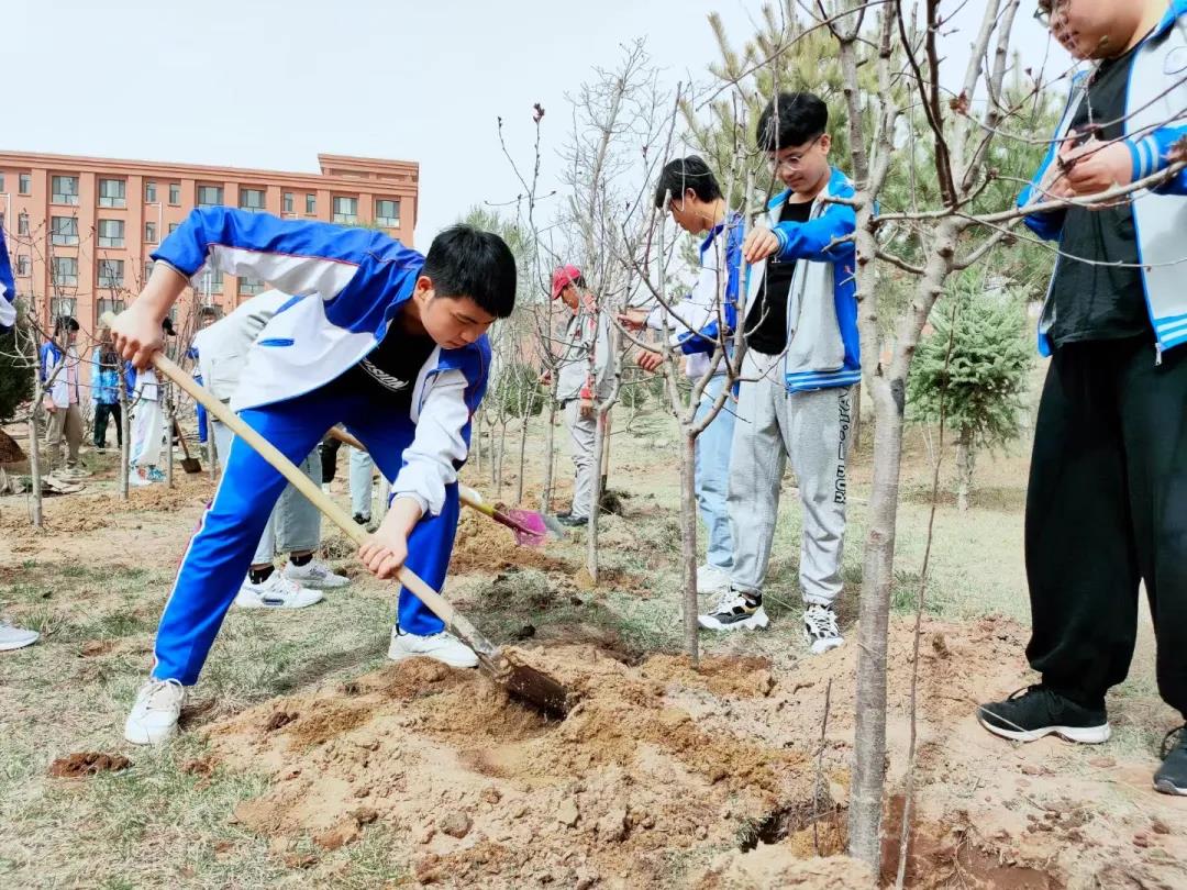 劳动教育-植树先培根，育人先养性(图1)