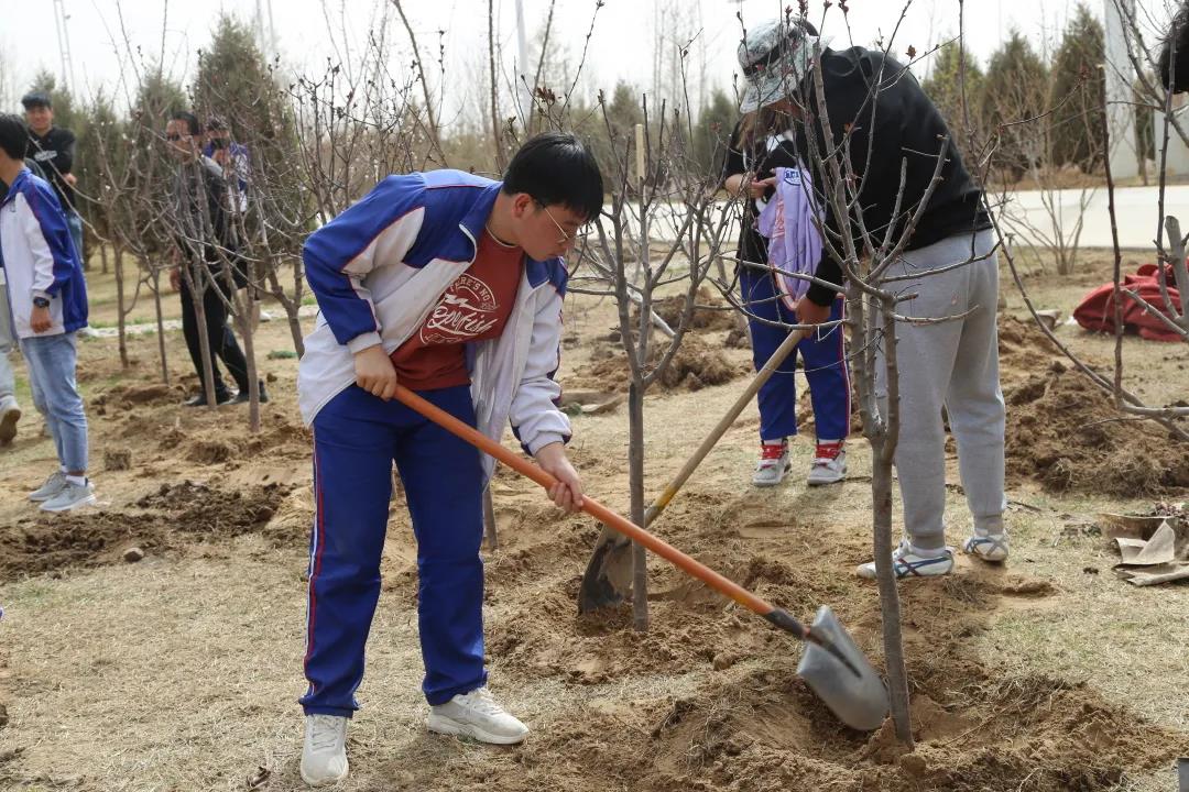 劳动教育-植树先培根，育人先养性(图3)