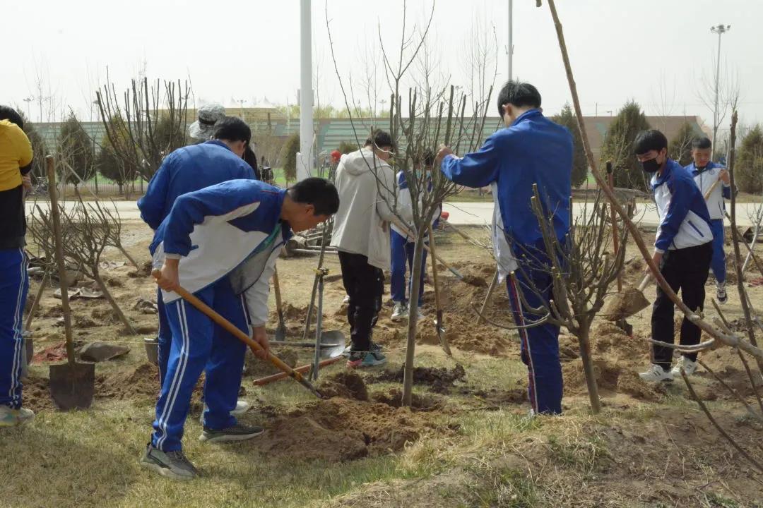 劳动教育-植树先培根，育人先养性(图8)