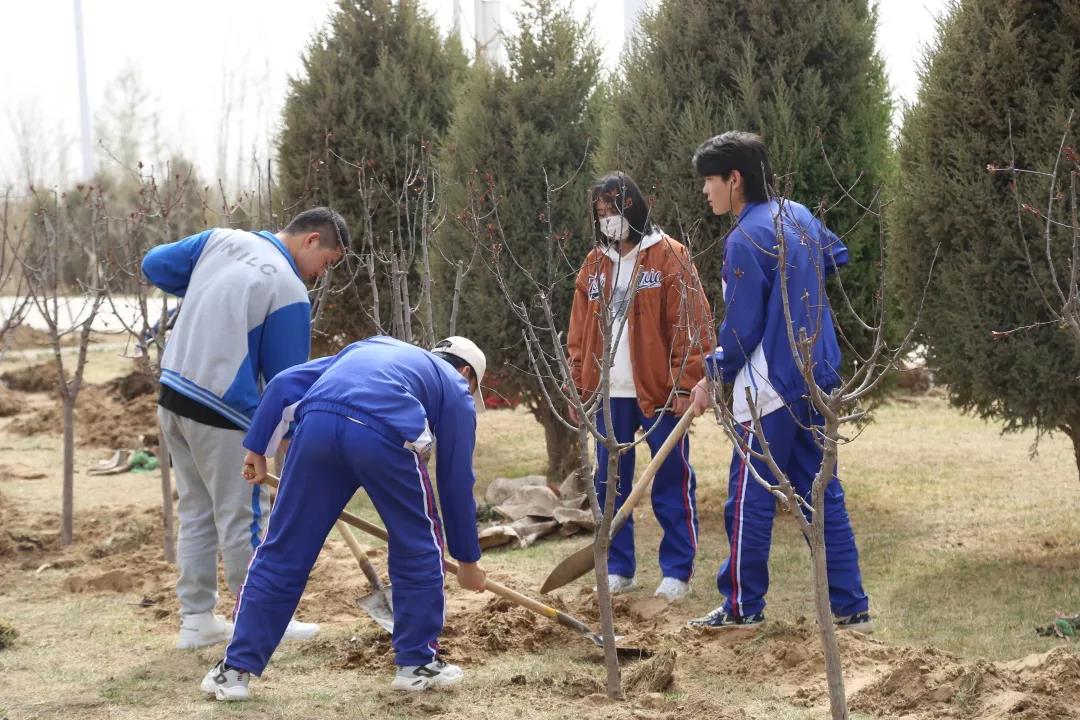 劳动教育-植树先培根，育人先养性(图6)