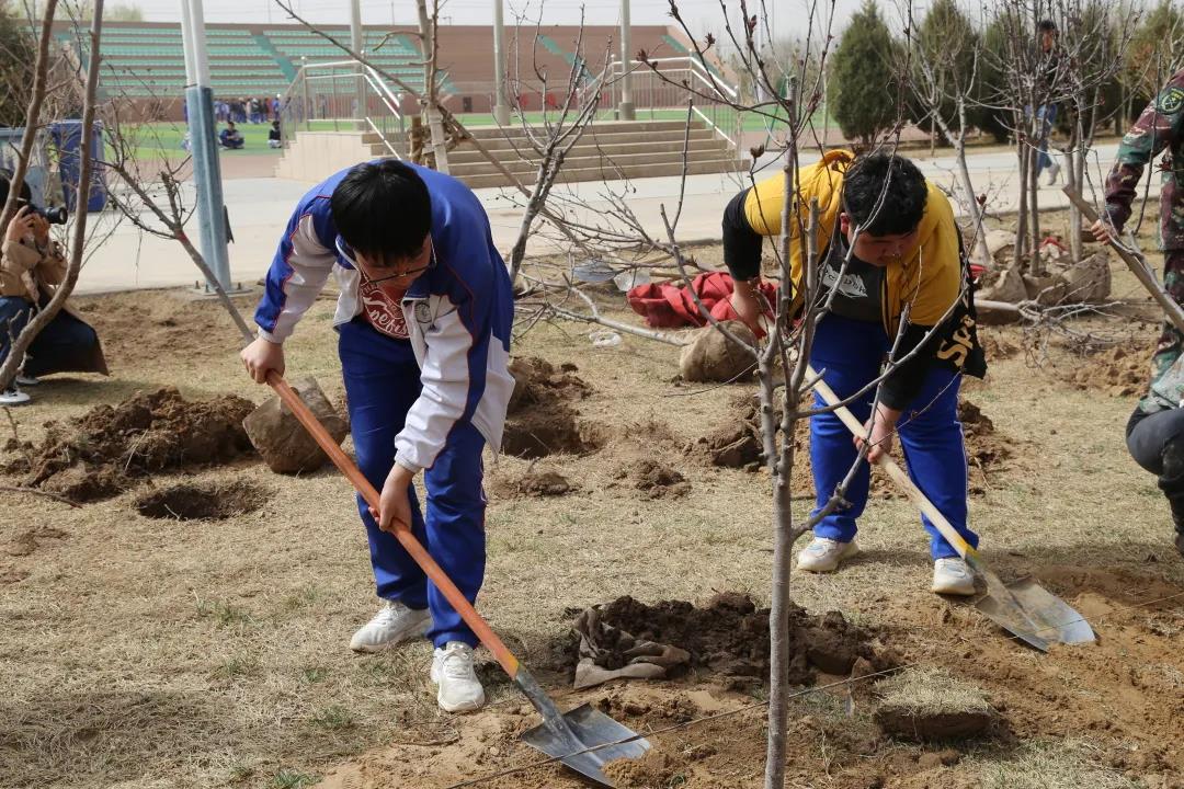 劳动教育-植树先培根，育人先养性(图10)