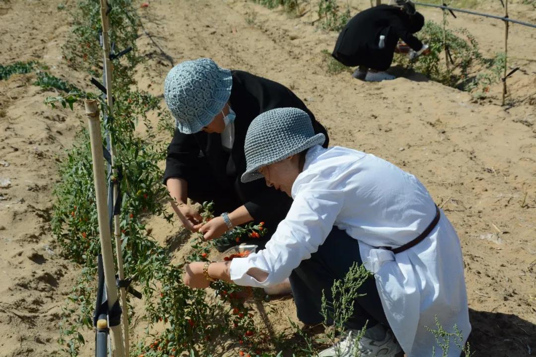 别样教师节，浓浓宁语情！ 宁夏国际语言学校 9月10日(图10)